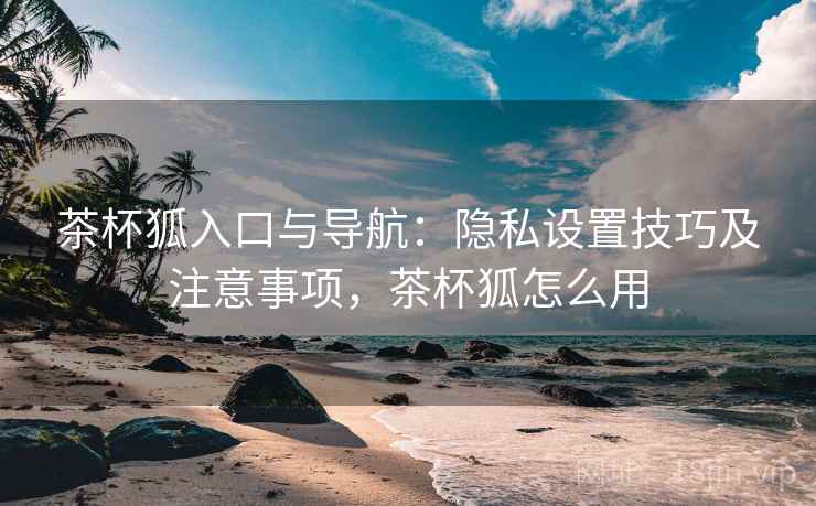 茶杯狐入口与导航：隐私设置技巧及注意事项，茶杯狐怎么用