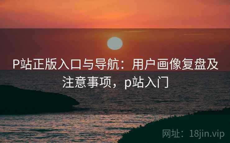 P站正版入口与导航：用户画像复盘及注意事项，p站入门