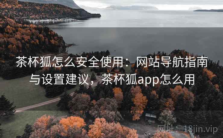 茶杯狐怎么安全使用：网站导航指南与设置建议，茶杯狐app怎么用