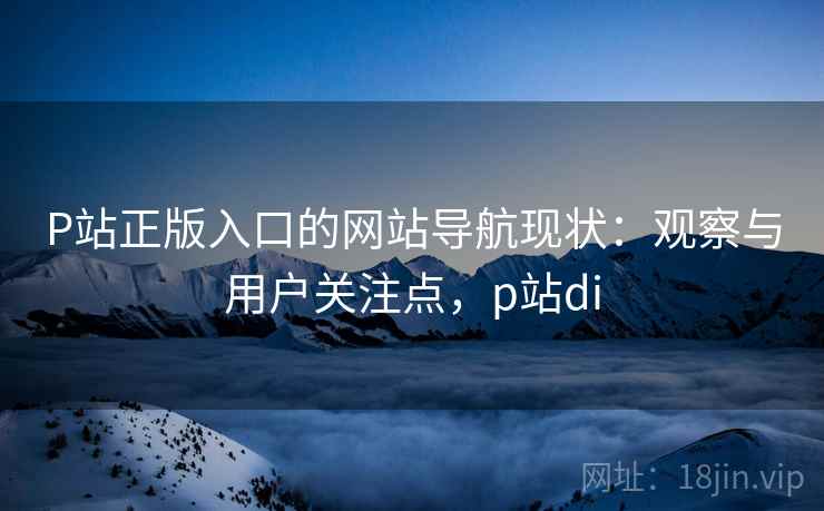 P站正版入口的网站导航现状：观察与用户关注点，p站di