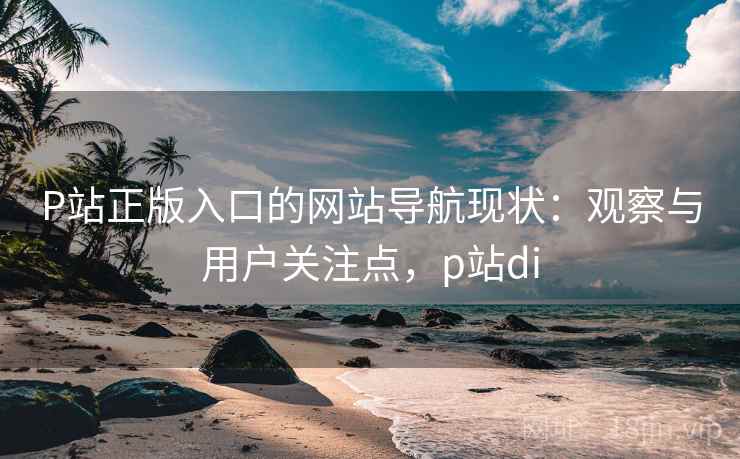 P站正版入口的网站导航现状：观察与用户关注点，p站di