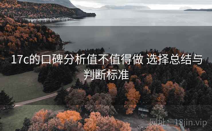 17c的口碑分析值不值得做 选择总结与判断标准