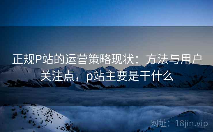 正规P站的运营策略现状：方法与用户关注点，p站主要是干什么