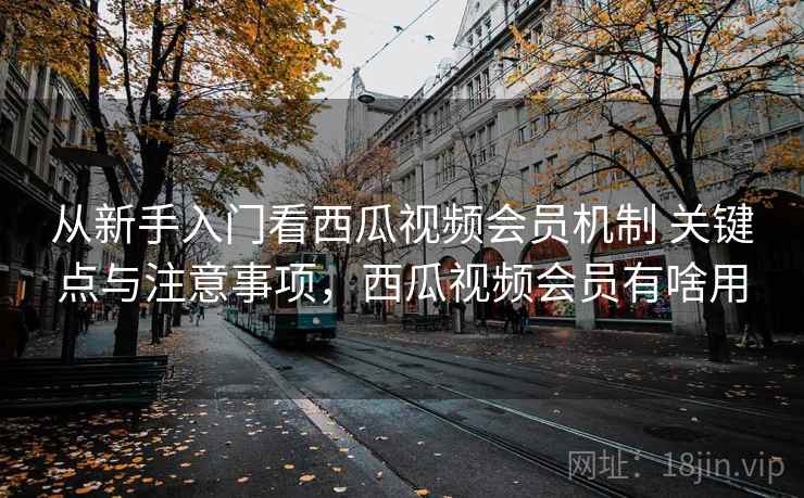 从新手入门看西瓜视频会员机制 关键点与注意事项，西瓜视频会员有啥用