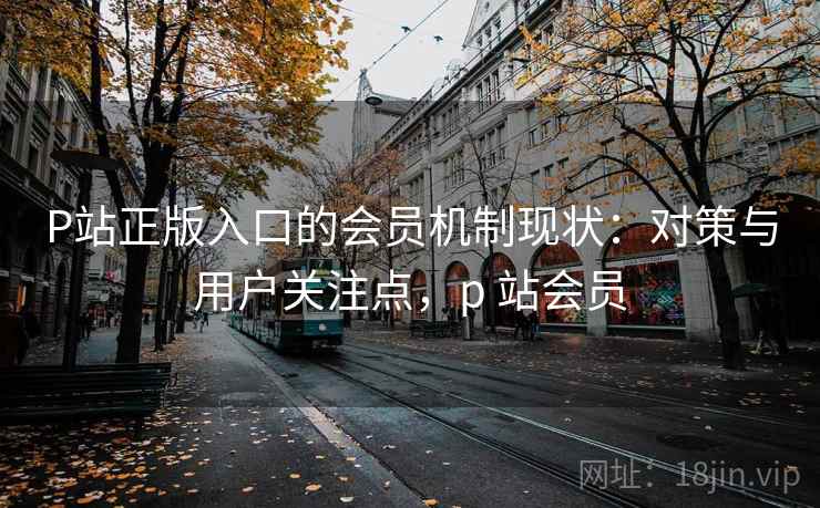 P站正版入口的会员机制现状：对策与用户关注点，p 站会员