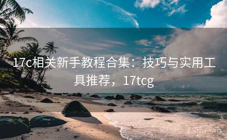 17c相关新手教程合集：技巧与实用工具推荐，17tcg