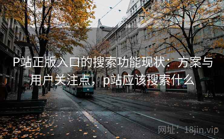 P站正版入口的搜索功能现状：方案与用户关注点，p站应该搜索什么