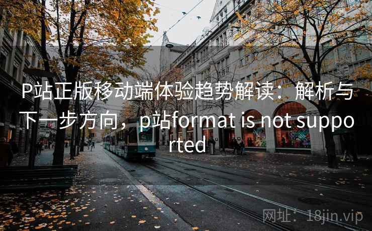 P站正版移动端体验趋势解读：解析与下一步方向，p站format is not supported