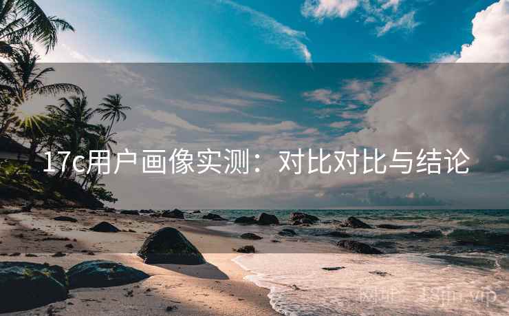 17c用户画像实测：对比对比与结论