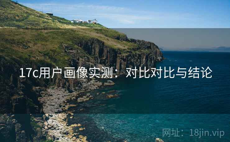 17c用户画像实测：对比对比与结论