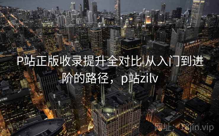 P站正版收录提升全对比 从入门到进阶的路径，p站zilv