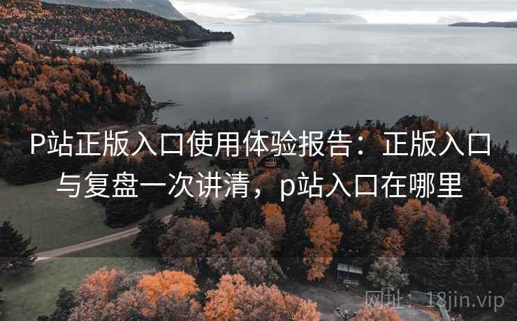 P站正版入口使用体验报告：正版入口与复盘一次讲清，p站入口在哪里