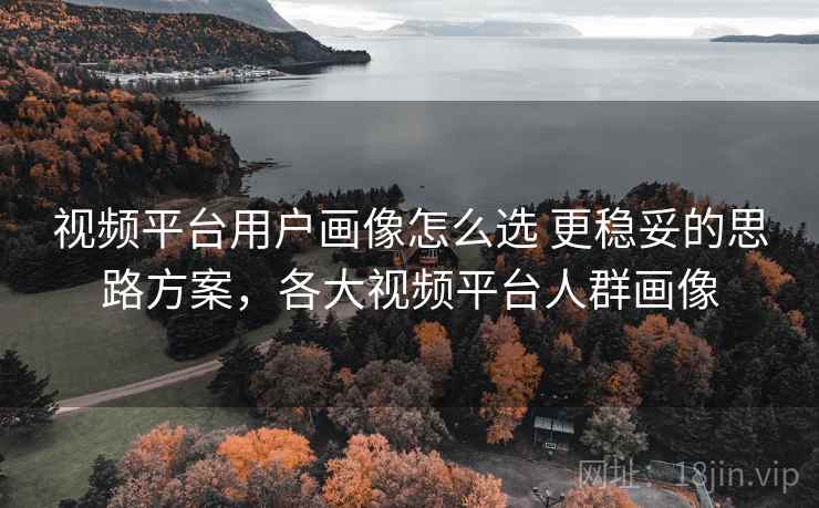 视频平台用户画像怎么选 更稳妥的思路方案，各大视频平台人群画像