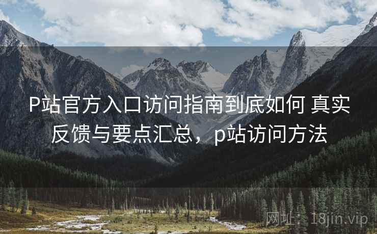 P站官方入口访问指南到底如何 真实反馈与要点汇总，p站访问方法