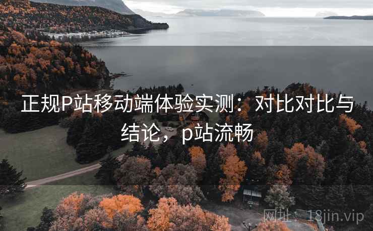 正规P站移动端体验实测:对比对比与结论,p站流畅 正规P站移动端体验实测:对比对比与结论,p站流畅