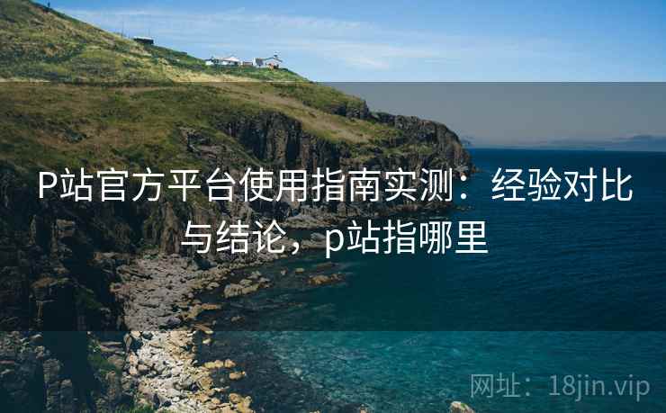 P站官方平台使用指南实测:经验对比与结论,p站指哪里 P站官方平台使用指南实测:经验对比与结论,p站指哪里