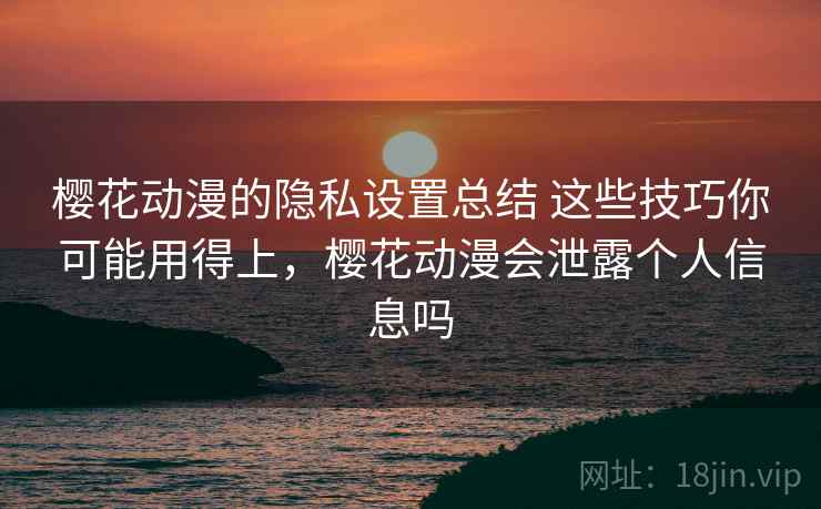 樱花动漫的隐私设置总结 这些技巧你可能用得上,樱花动漫会泄露个人信息吗 樱花动漫的隐私设置总结 这些技巧你可能用得上,樱花动漫会泄露个人信息吗