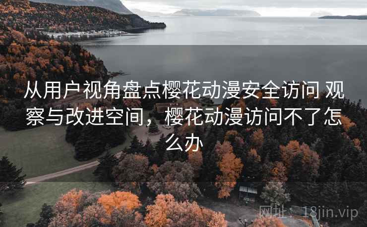 从用户视角盘点樱花动漫安全访问 观察与改进空间，樱花动漫访问不了怎么办
